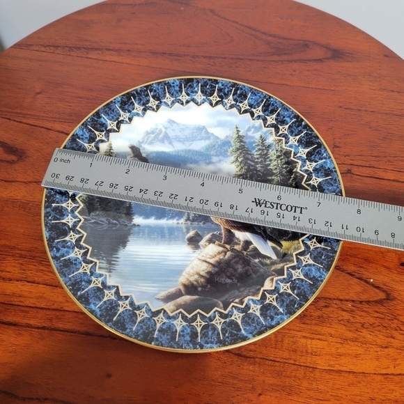 Vintage The Bradford Exchange "Pride of the Sky" by Frank Mittelstadt Plate - Picture 14 of 14